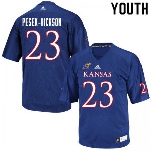 Youth Kansas Jayhawks Amauri Pesek-Hickson #23 Royal Stitched Jersey 842109-930