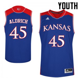 Youth Kansas Jayhawks Cole Aldrich #45 Royal Player Jerseys 549038-862